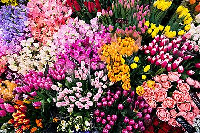 《命运2》22至23赛季将逐步推出服务器稳定性修复