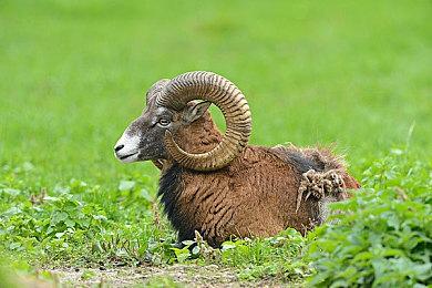 快来游玩《PGA TOUR 2K23》在Tony Finau的梦幻球场上尽情挥杆