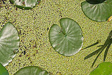 《最后生还者》PC新更新上线 改善视觉效果和体验